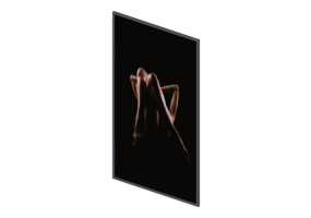 Cuadros 3D - Cuadro moderno - Artzzi - Risuleo 10