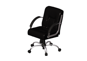 3D Chairs - Leather chair - Cavaletti - Prime - 20302