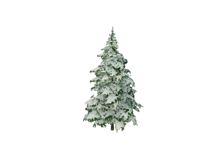 Árvores 3D - Abeto - EVERMOTION Árvores 3D - Abeto - EVERMOTION