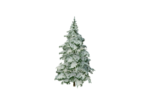 3D Trees - Pine