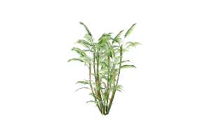 &Aacute;rvores 3D - Areca-bambu