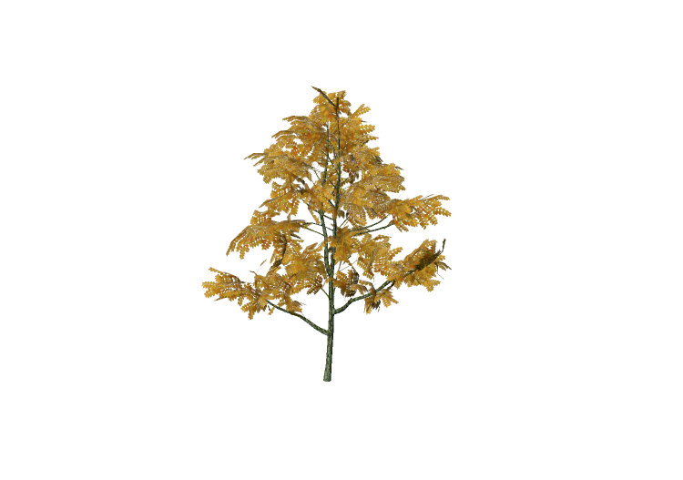 Arbres 3D - Frêne - EVERMOTION Arbres 3D - Frêne - EVERMOTION