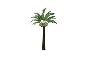 &Aacute;rboles 3D - Palmera datilera Palmera datilera