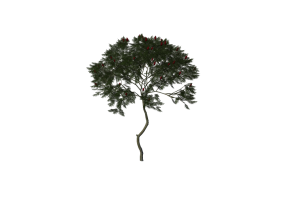 3D B&auml;ume - Essigbaum