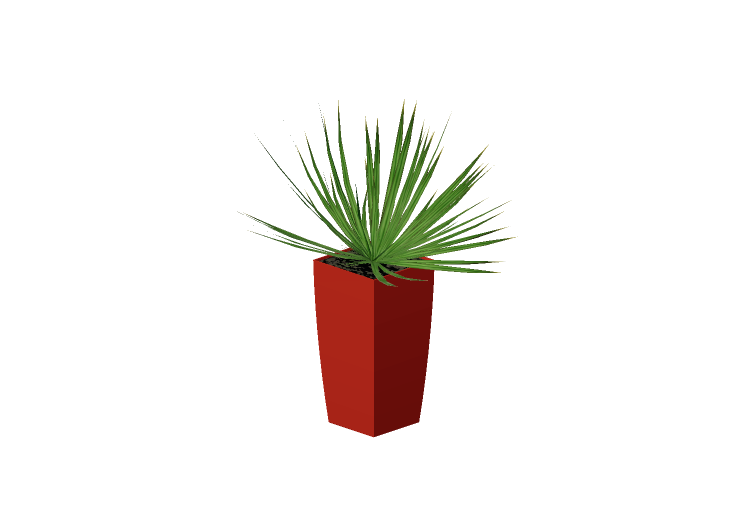 Plantas 3D - Cordiline - EVERMOTION Plantas 3D - Cordiline - EVERMOTION