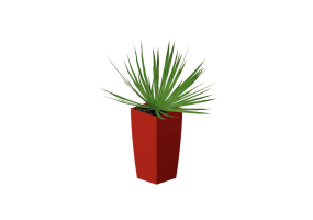 3D Flowers - Cordilinea