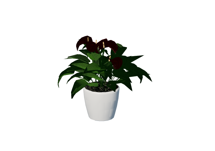 3D Flowers - Anthurium - EVERMOTION 3D Flowers - Anthurium - EVERMOTION