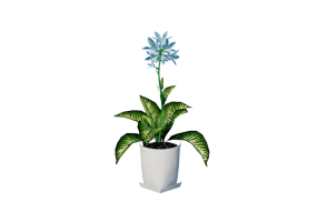 3D Flowers - Lily