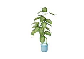 Piante 3D - Pothos