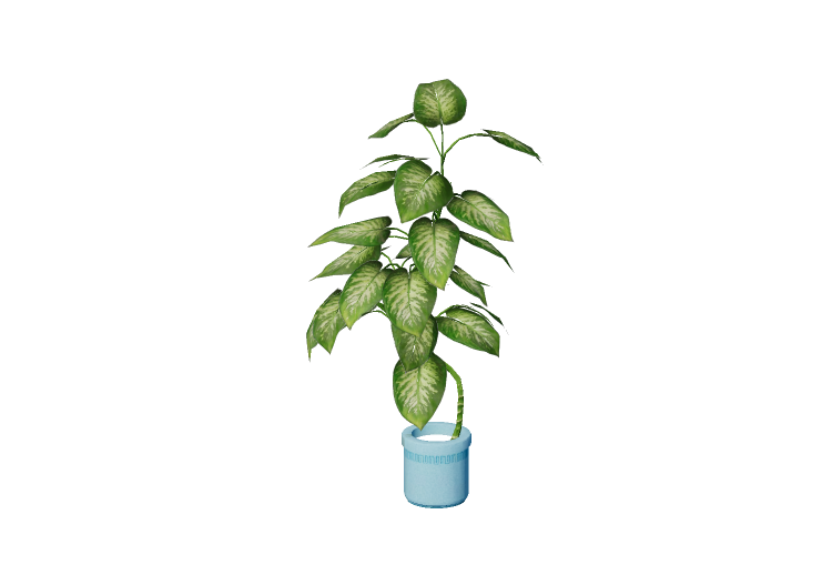 Plantas 3D - Pothos - EVERMOTION Plantas 3D - Pothos - EVERMOTION