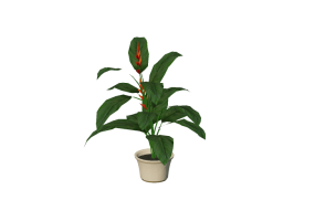 3D Flowers - Heliconia