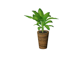 Plantes 3D - Bananier nain