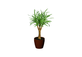 Plantes 3D - Tronc du bonheur