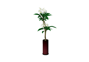 3D Pflanzen - Rote Frangipani