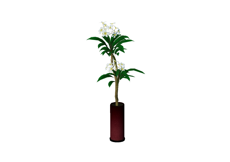 3D Pflanzen - Rote Frangipani - EVERMOTION 3D Pflanzen - Rote Frangipani - EVERMOTION