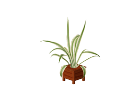 3D Flowers - Agave americana Marginata