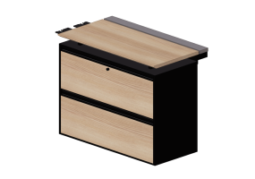 3D Furniture - Metal Cabinet - Kokuyo - Saibi Management - SD XE59LF6MT4