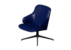 3D Arm Chairs - Fabric Armchair - Amstelle - 16611 - 32930 - GUDAMD760