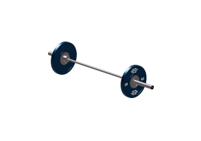 Fitness 3D - Premium-Olympiastange f&uuml;r Frauen - Gym80 - 2187