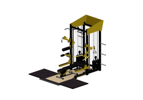 Fitness 3D - Gold Gym Home - Gym80 - 0001