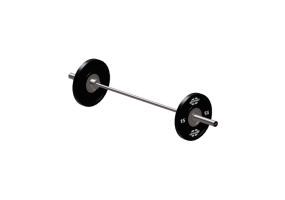 Fitness 3D - Gym barbell - Gym80 - 2190