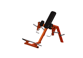 Fitness 3D - Biceps Curl Standing - Gym 80 - 5903