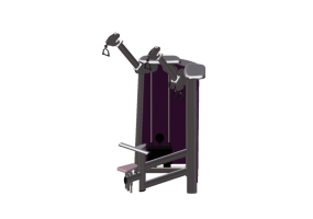 Fitness 3D - Cable Art N2 Latissimus and Trapezius - Gym80 - 5102