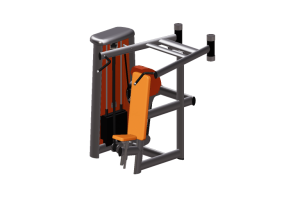 Fitness 3D - Shoulder and Lat Pull combo - Gym80 - 5015