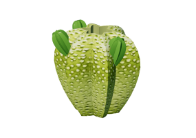 Vasi e Ceramiche 3D - Vaso in ceramica - Kare - Kaktus - 64645