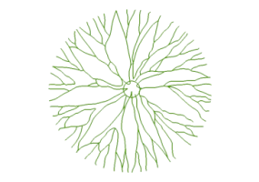 &Aacute;rboles DWG - &Aacute;rbol (01)
