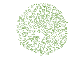 Arbres DWG - Arbre (02)