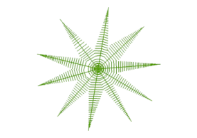 Arbres DWG - Arbre (07)