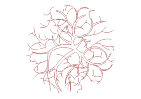 Alberi DWG - Albero (19)