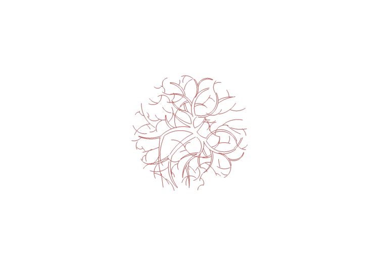 Arbres DWG - Arbre (19) - ACCA software Arbres DWG - Arbre (19) - ACCA software