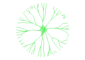 Arbres DWG - Arbre (23)