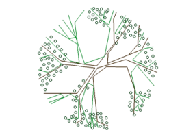 Arbres DWG - Arbre (27)