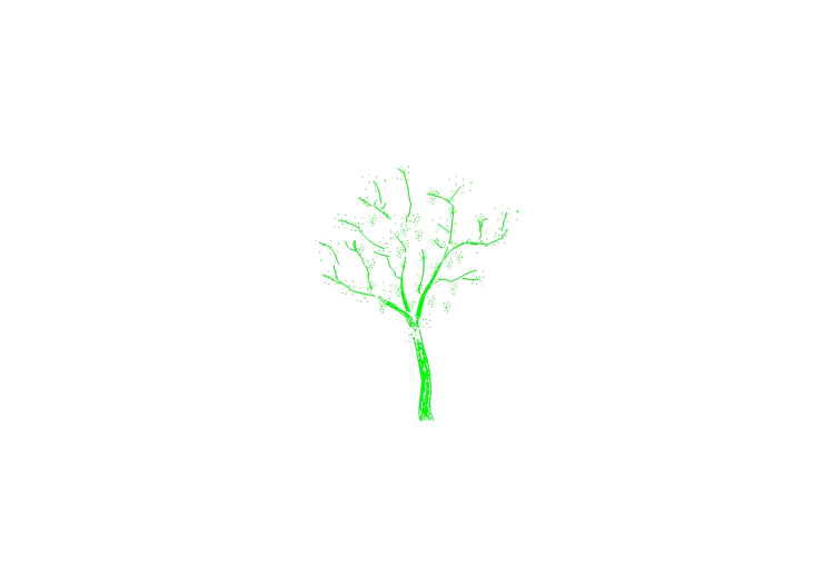 Arbres DWG - Arbre (01) - ACCA software Arbres DWG - Arbre (01) - ACCA software