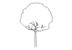 DWG Trees - Tree (07)