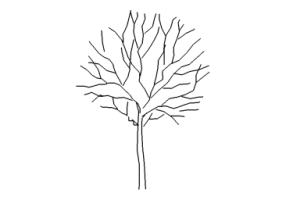 Arbres DWG - Arbre (10)