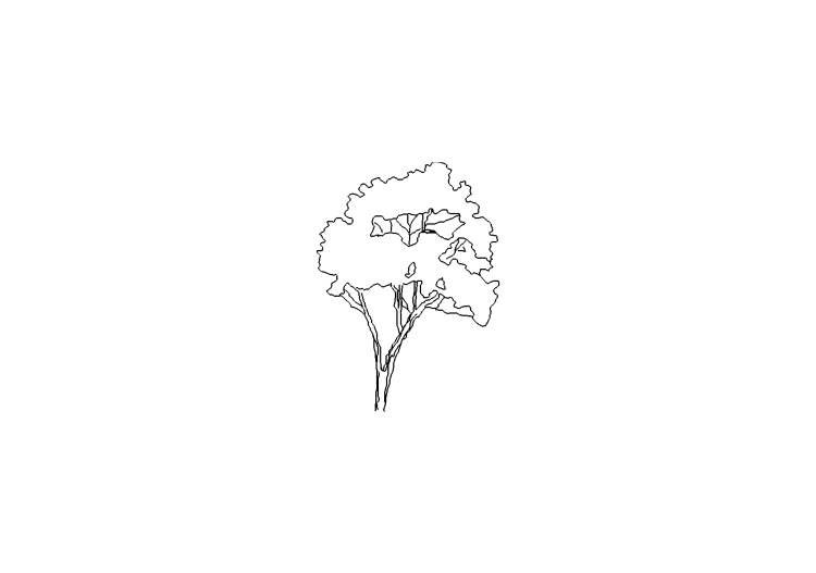 Arbres DWG - Arbre (11) - ACCA software Arbres DWG - Arbre (11) - ACCA software