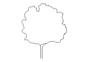 DWG B&auml;ume - Baum (12)