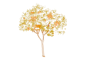 DWG Trees - Tree (18)
