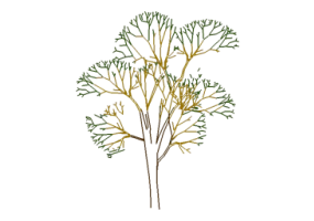 &Aacute;rboles DWG - &Aacute;rbol (19)