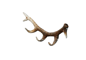 Accessori 3D - Appendiabiti in plastica - Kare - Antler - 87097