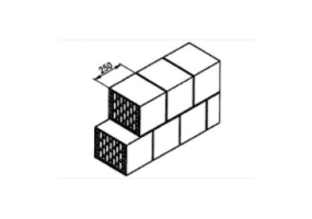 Bloque hueco (300*250*250)