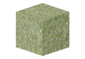 Texture terrain - Herbe (01)