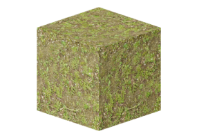 Texture terreno - Erba (06)