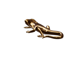 Accessori 3D - Decorazione da parete - Kare - Lizard - 53616