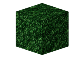 Texture serpentino - Serpentin vert jade