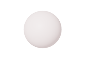 Galeries d'insectes